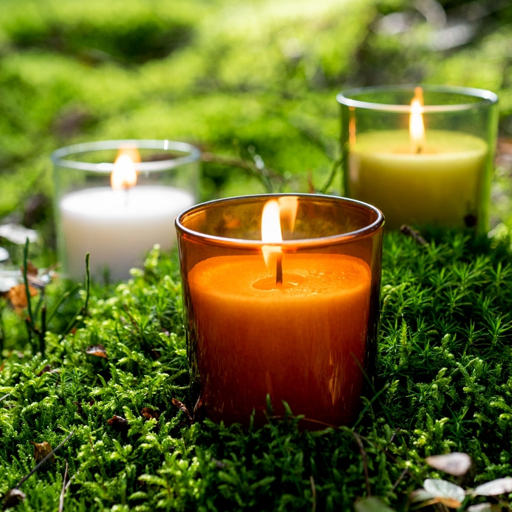 Qult Senses of Nature - EARTH - Scented candles in glass incl. wooden lid - Rain Forest