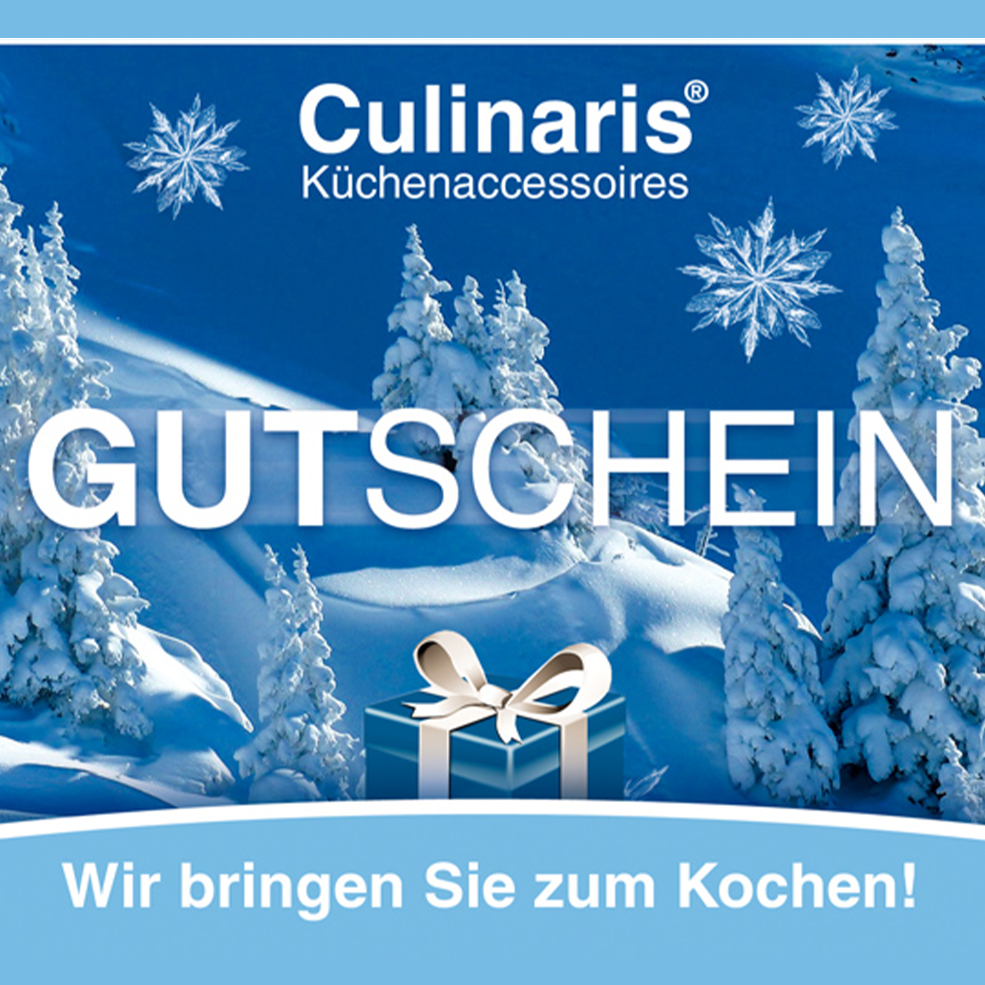 Store Gift Card - Winter - 20 €